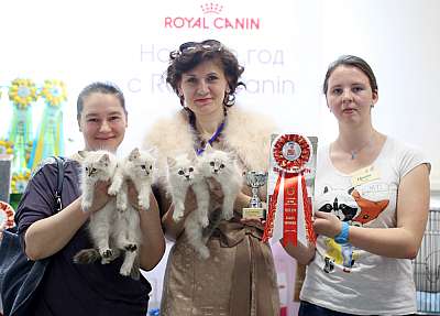 �������� ����� 11-12 ������ 2015, ������������ ���  sib-170-169A5064 copy.jpg